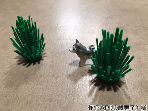 かわいい2人の姉妹(PAPI(9歳男子) 様)