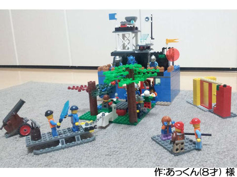 ちゅうせいのたかかい(あっくん(8才) 様)