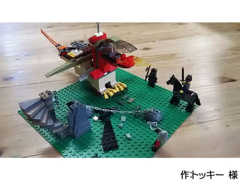 暴れるドラゴン(トッキー 様)