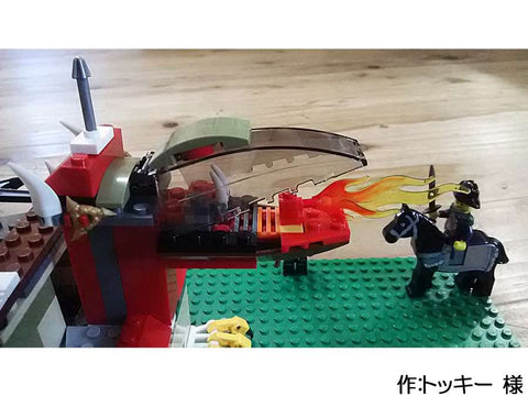 暴れるドラゴン(トッキー 様)
