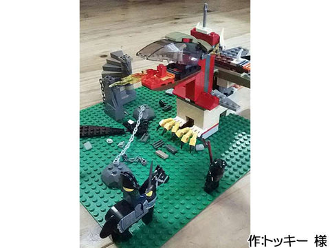 暴れるドラゴン(トッキー 様)