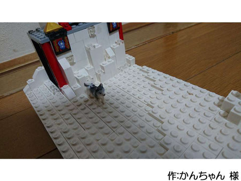 犬の初詣(かんちゃん 様)