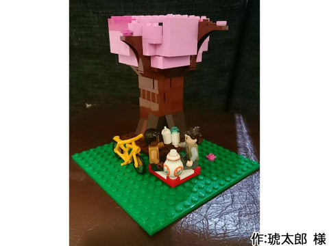 「スターウォーズのお花見」(琥太郎 様)