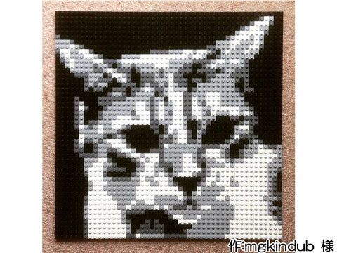 友達のネコ(mgkindub 様)