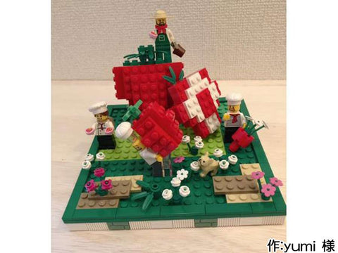 イチゴの収穫(yumi 様)