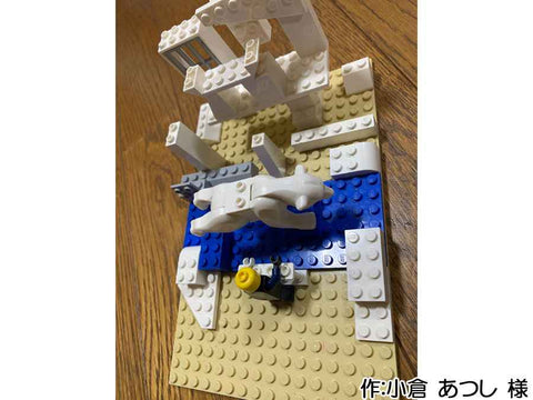 天王寺動物園のシロクマ飛び込む(小倉 あつし 様)