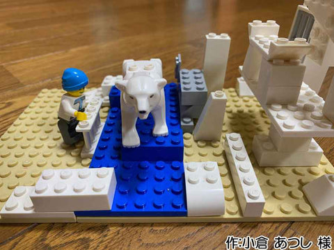 天王寺動物園のシロクマ飛び込む(小倉 あつし 様)