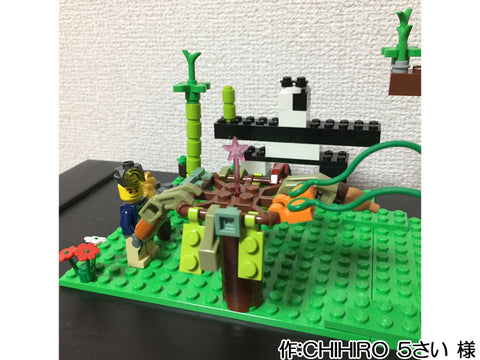 冒険マスター(CHIHIRO 5さい 様)