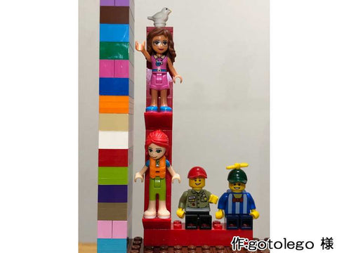 we love LEGO !(gotolego 様)