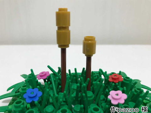 つくし(pazoo 様)