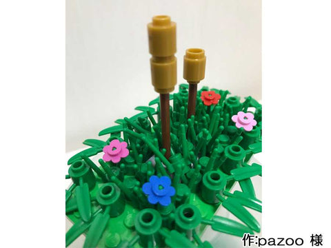 つくし(pazoo 様)