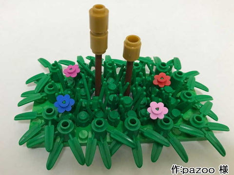 つくし(pazoo 様)