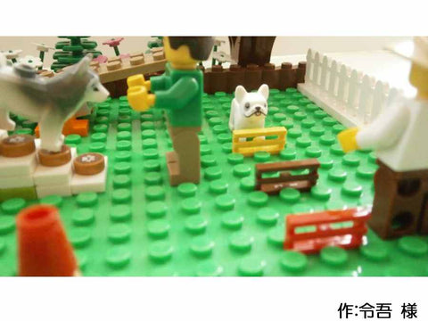 ドッグラン(令吾 様)