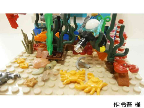 スキューバダイビング(令吾 様)