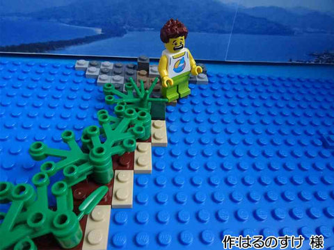 天橋立(はるのすけ 様)