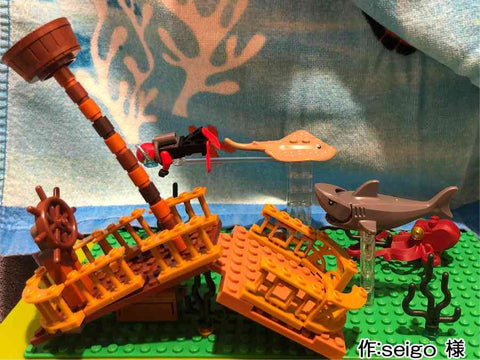 海底沈没船(seigo 様)