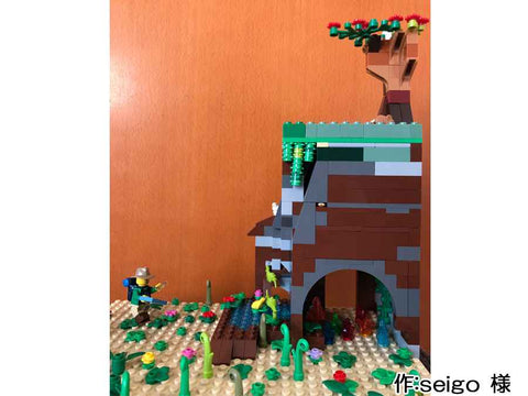 秘宝を探しにジャングルへ(seigo 様)