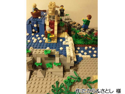 ジャングルの遺跡(たから&さとし 様)