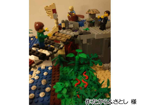 ジャングルの遺跡(たから&さとし 様)