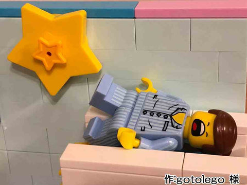 秋の夜長☆(gotolego 様)