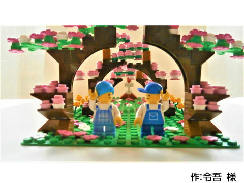 桜並木(令吾 様)