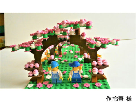 桜並木(令吾 様)