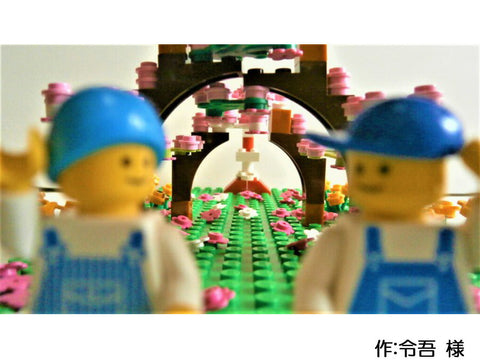 桜並木(令吾 様)