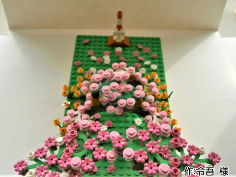 桜並木(令吾 様)