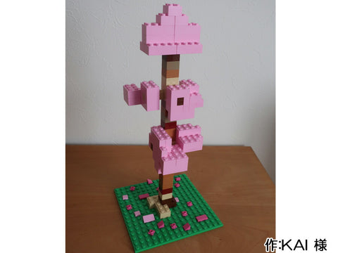 満開の桜(KAI 様)