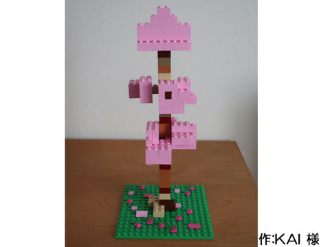 満開の桜(KAI 様)