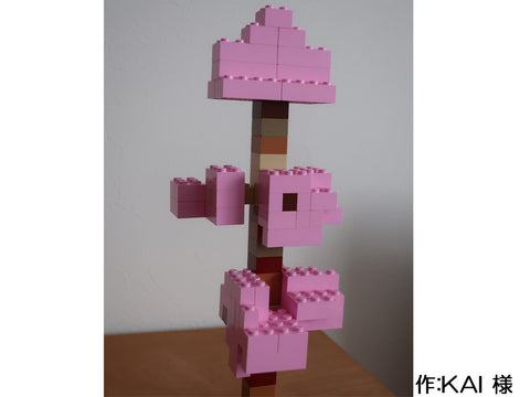 満開の桜(KAI 様)