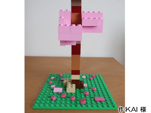 満開の桜(KAI 様)