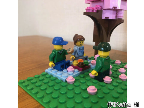 お花見(Keita 様)