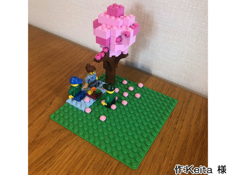 お花見(Keita 様)