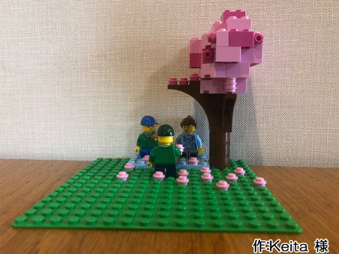 お花見(Keita 様)