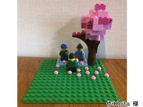 お花見(Keita 様)