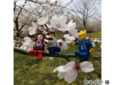 桜の上で桜餅(ゆうや 様)