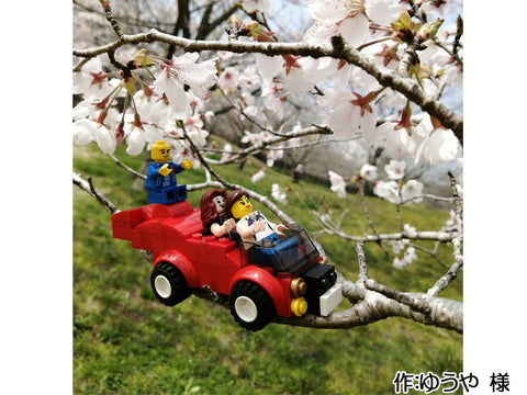 桜の上で桜餅(ゆうや 様)