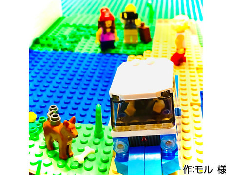 昭和の田舎時代にタイムスリップ(モル 様)