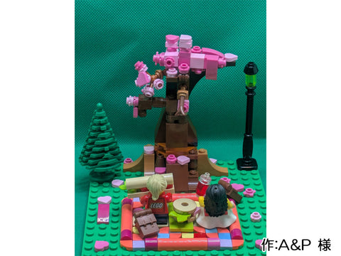 公園でお花見（A＆P 様）