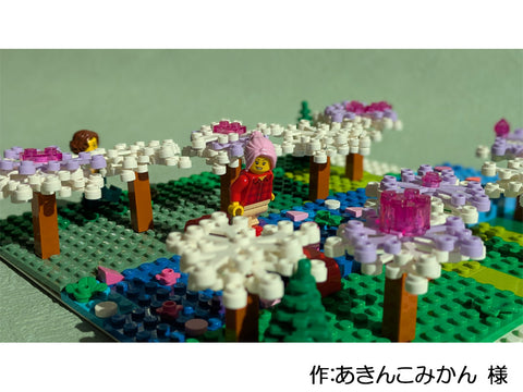 桜（あきんこみかん 様）