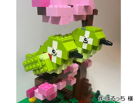 メジロの親子（はるっち 様）