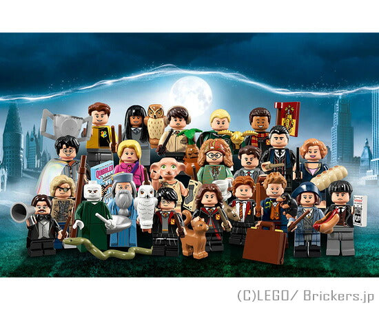 LEGO® パーツ LEGO レゴ ミニフィギュア ハリー・ポッター＆ファンタスティック・ビーストシリーズ - フルコンプ 【71022-COMP】 l-71022-comp 