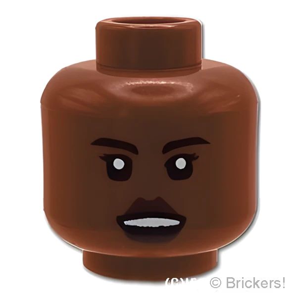 LEGO® パーツ 6289408 ミニフィグ デュアルヘッド - すまし顔 / 怒り顔：[Reddish Brown / ブラウン] 3626pb2593-192 