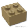 ブロック 2 x 2：[Dark Tan / ダークタン]